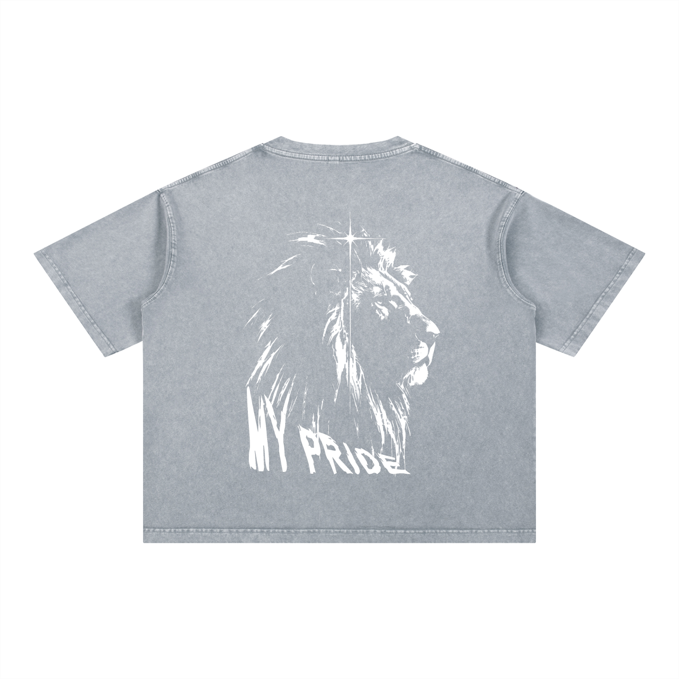 My Pride Wash Boxy Cotton T-Shirt