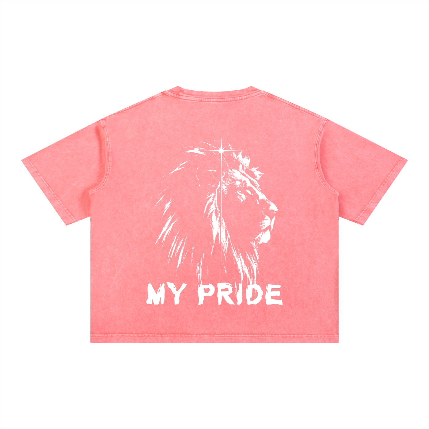My Pride Wash Boxy Cotton T-Shirt
