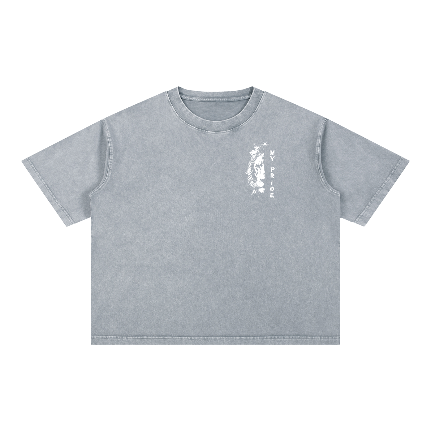 My Pride Wash Boxy Cotton T-Shirt