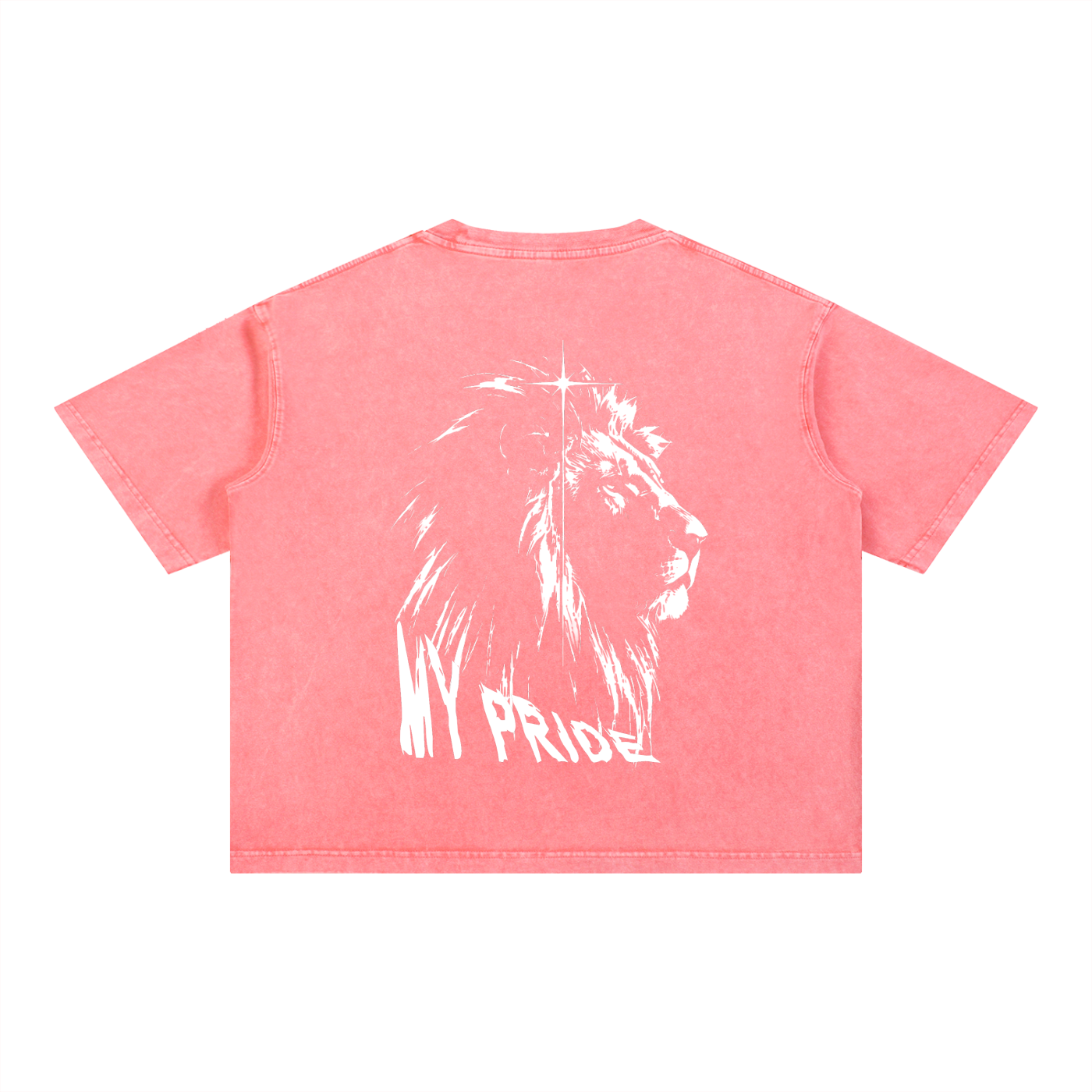 My Pride Wash Boxy Cotton T-Shirt