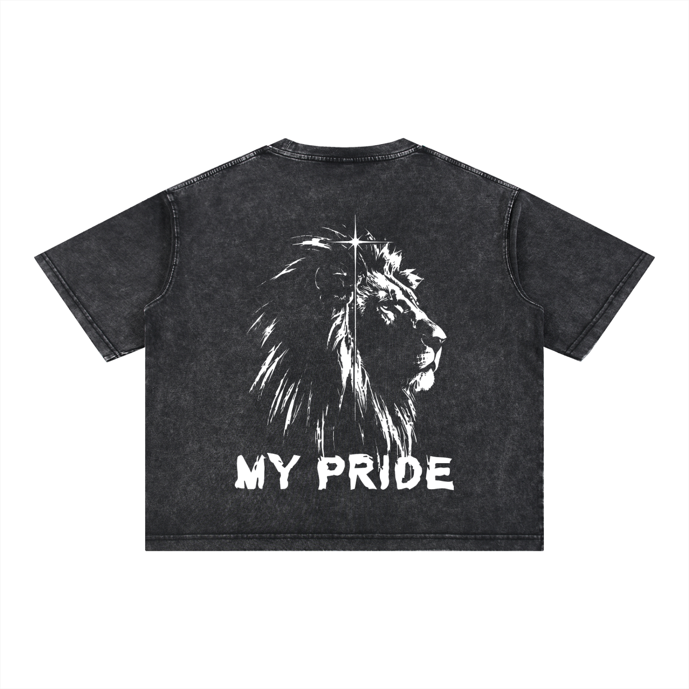 My Pride Wash Boxy Cotton T-Shirt