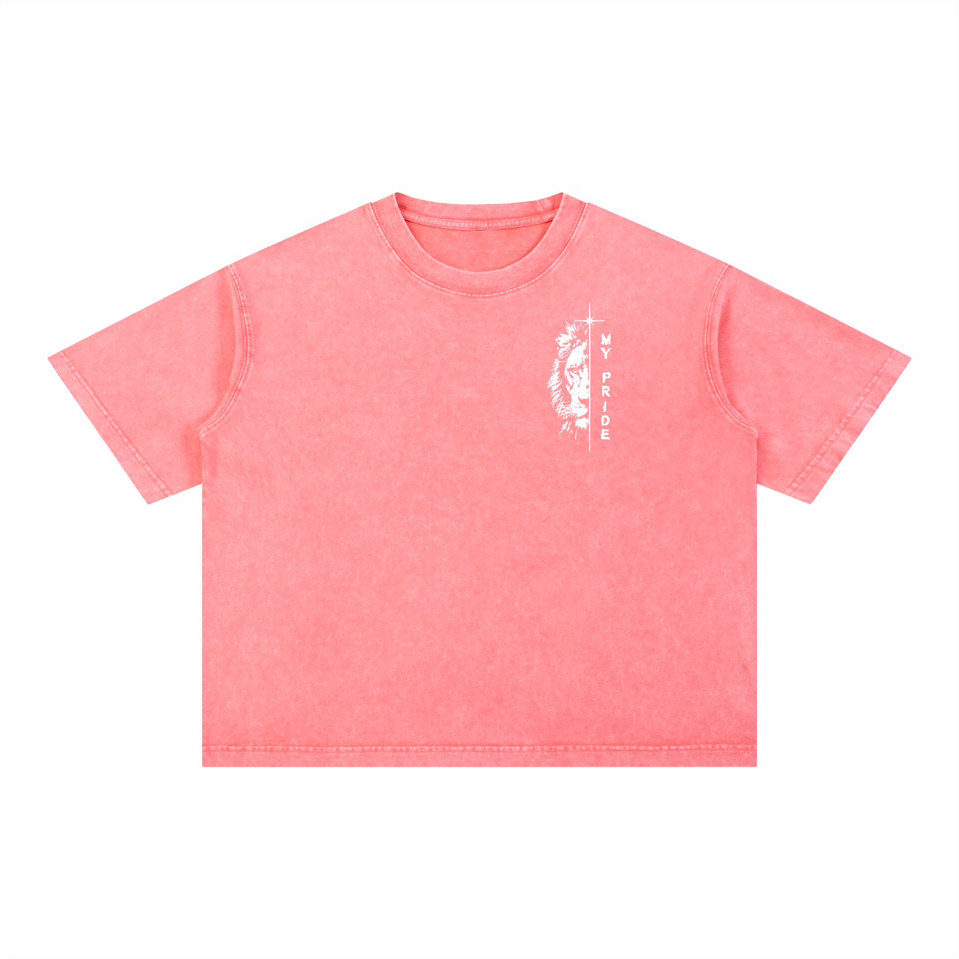 My Pride Wash Boxy Cotton T-Shirt