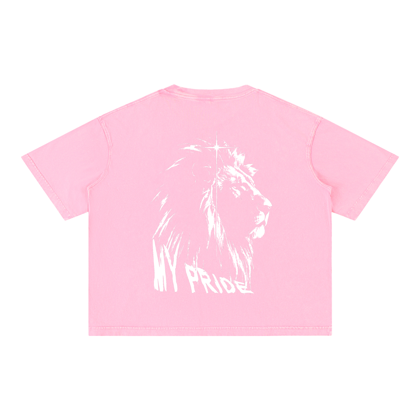 My Pride Wash Boxy Cotton T-Shirt