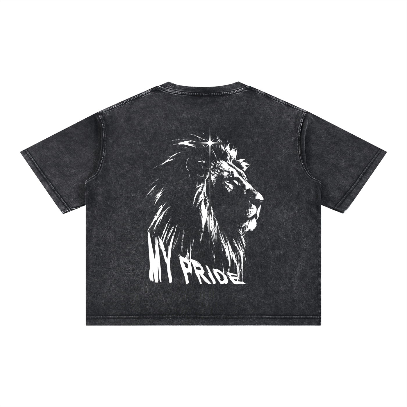 My Pride Wash Boxy Cotton T-Shirt