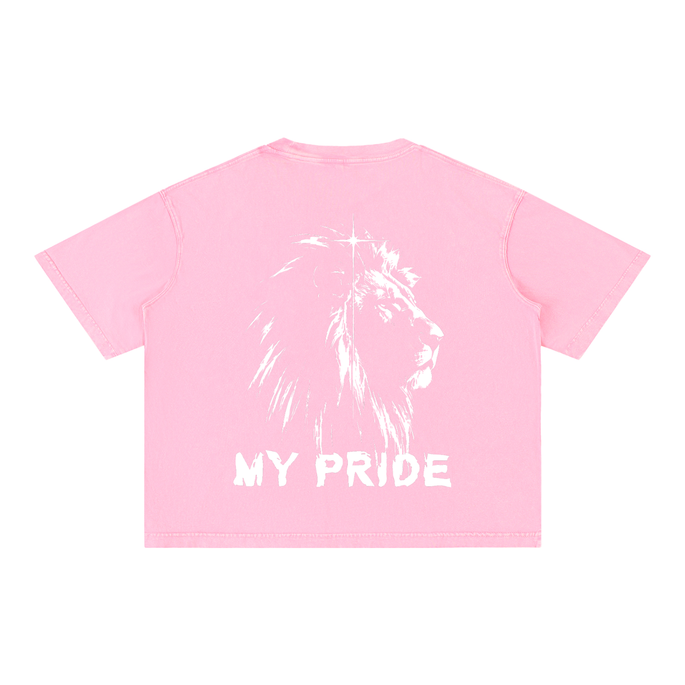My Pride Wash Boxy Cotton T-Shirt