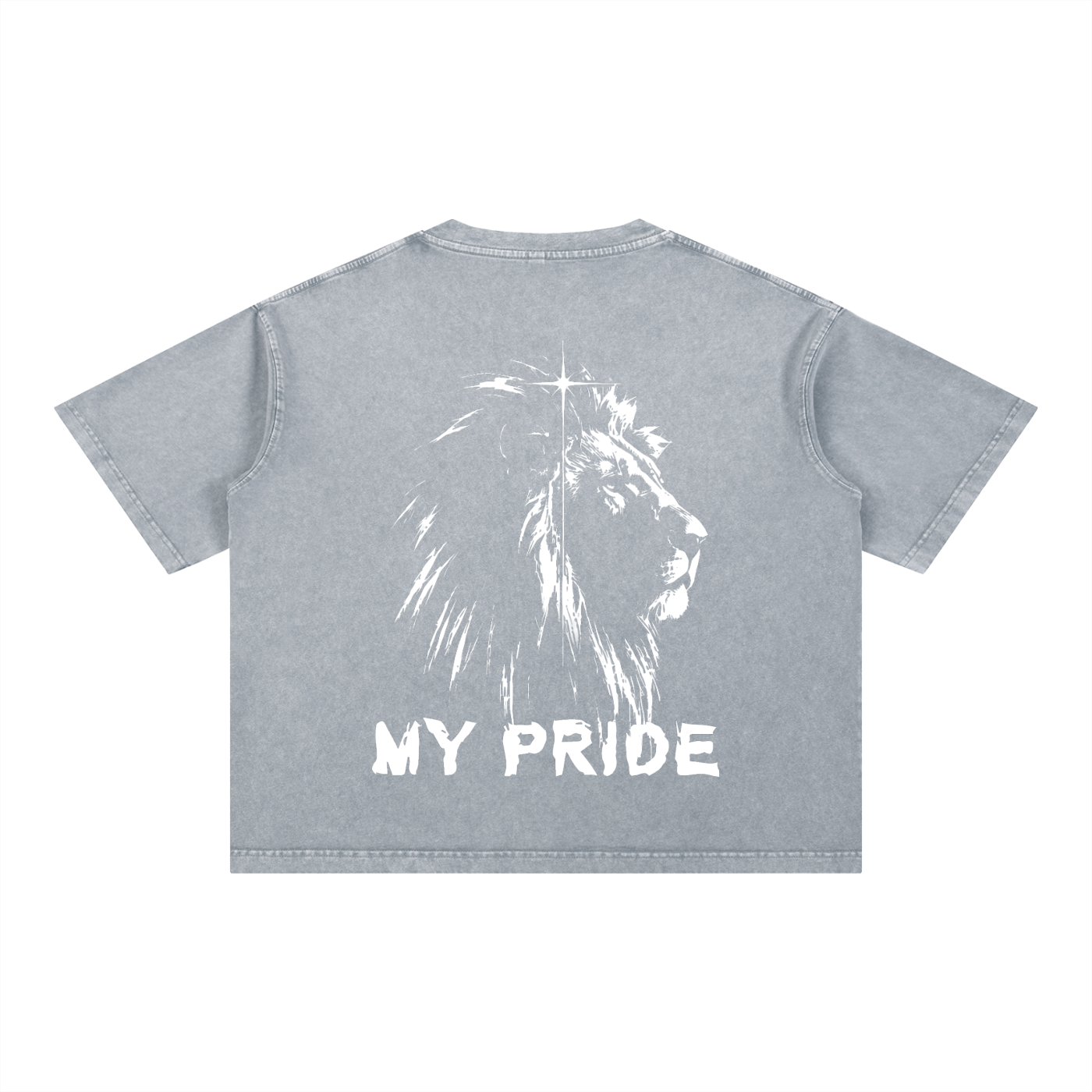 My Pride Wash Boxy Cotton T-Shirt