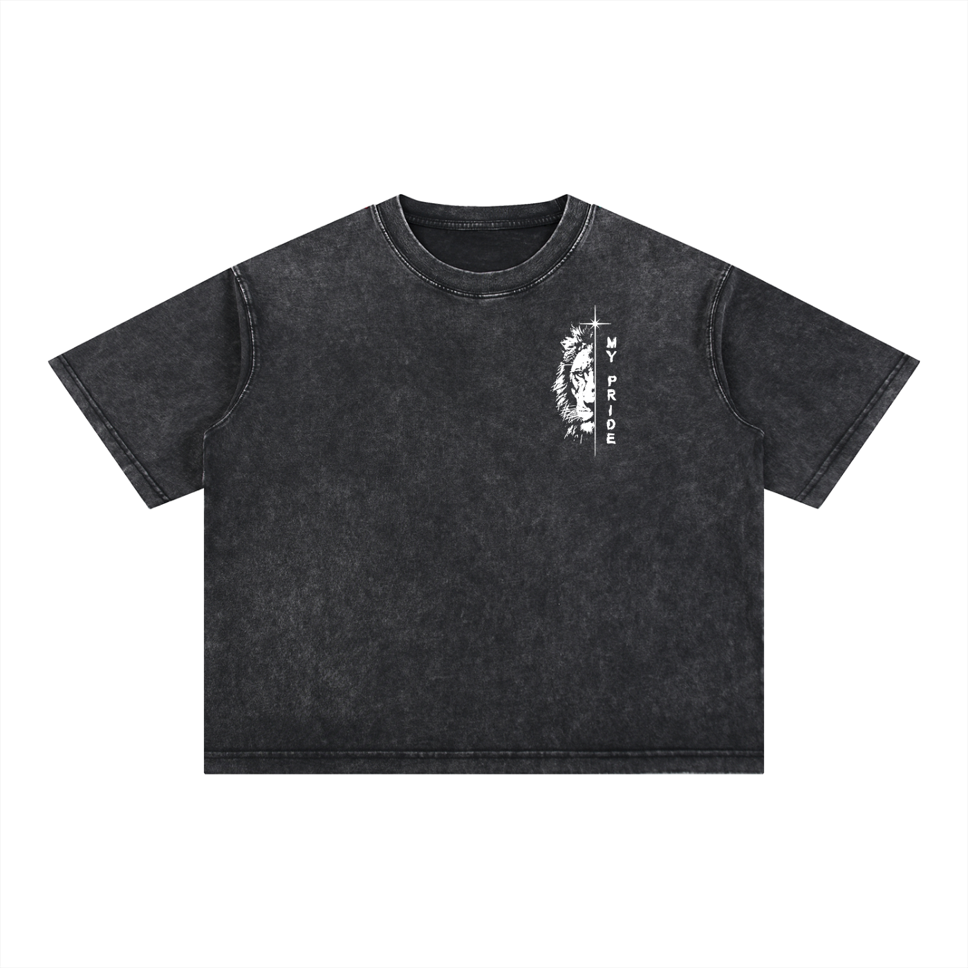 My Pride Wash Boxy Cotton T-Shirt